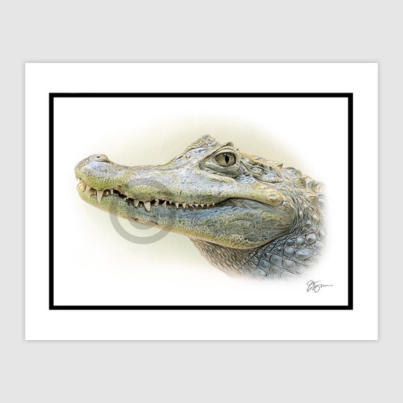 風景画のワニ - オリジナル色鉛筆画 - 肖像画サイズ 11.75