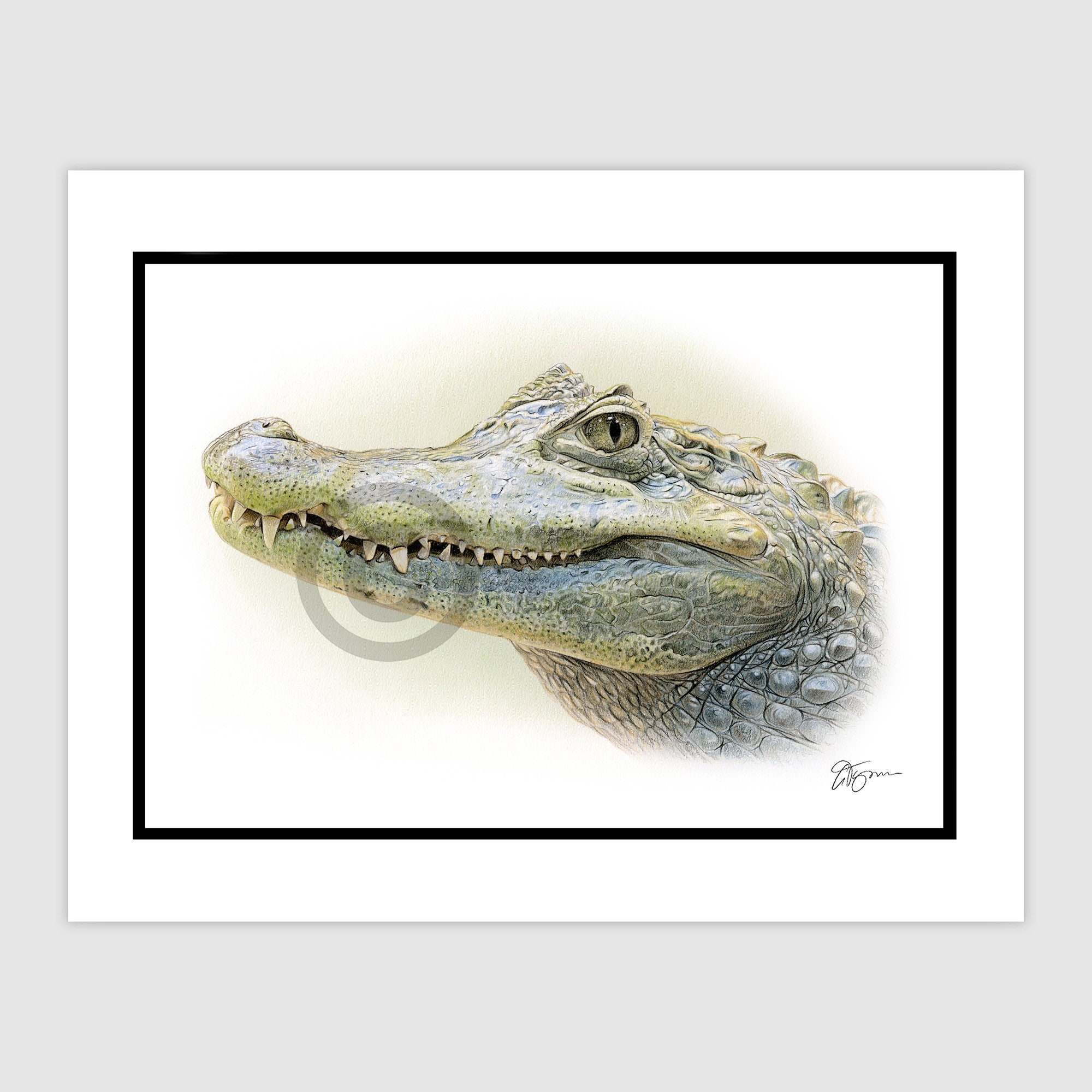 風景画のワニ - オリジナル色鉛筆画 - 肖像画サイズ 11.75