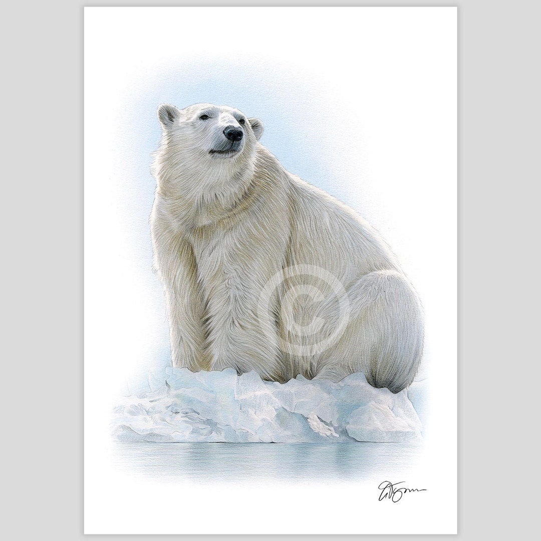 il_1080xN.6208185954_fr54.jpg