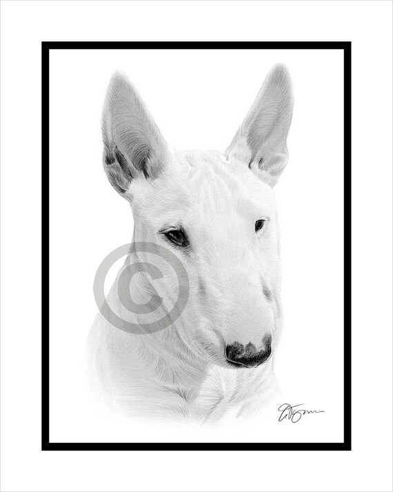 Pannello Segnaletico Per Cani Bull Terrier, 20x10 Cm - Per Proprietà