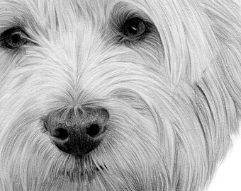 West Highland White Terrier Pencil Drawing Print - 2 Sizes