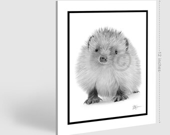 赤ちゃんハリネズミ - オリジナルの白黒鉛筆画アートワーク - ポート