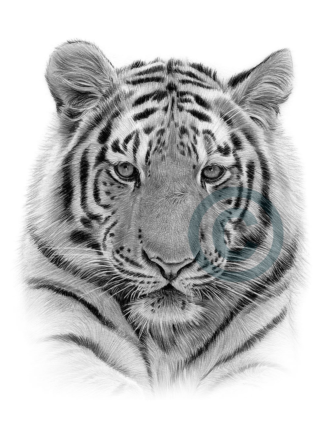 Digital Download Dibujo a lápiz de un tigre de Bengala - Etsy España