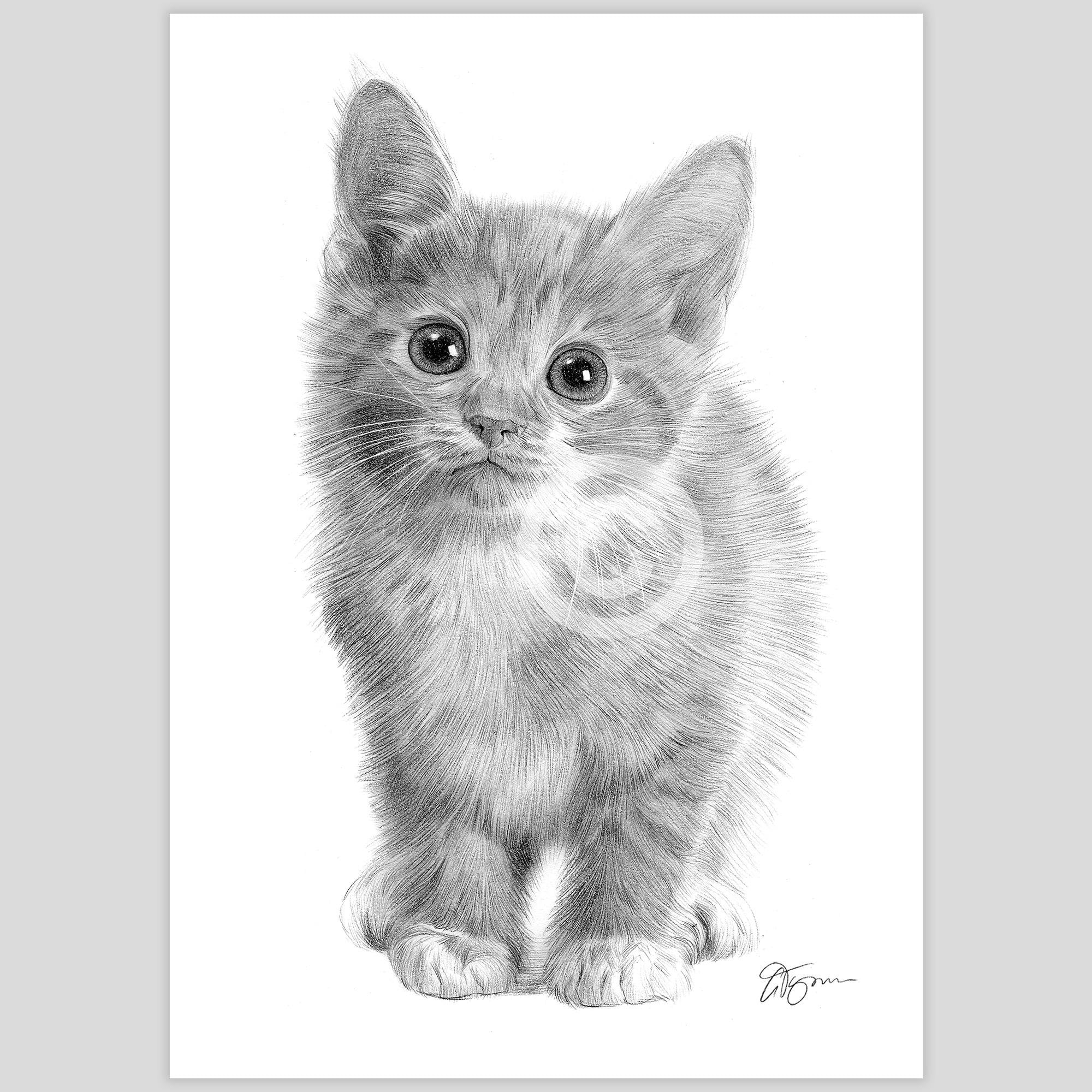 子猫の鉛筆画プリント｜アーティストGary Tymonのサイン入りアート