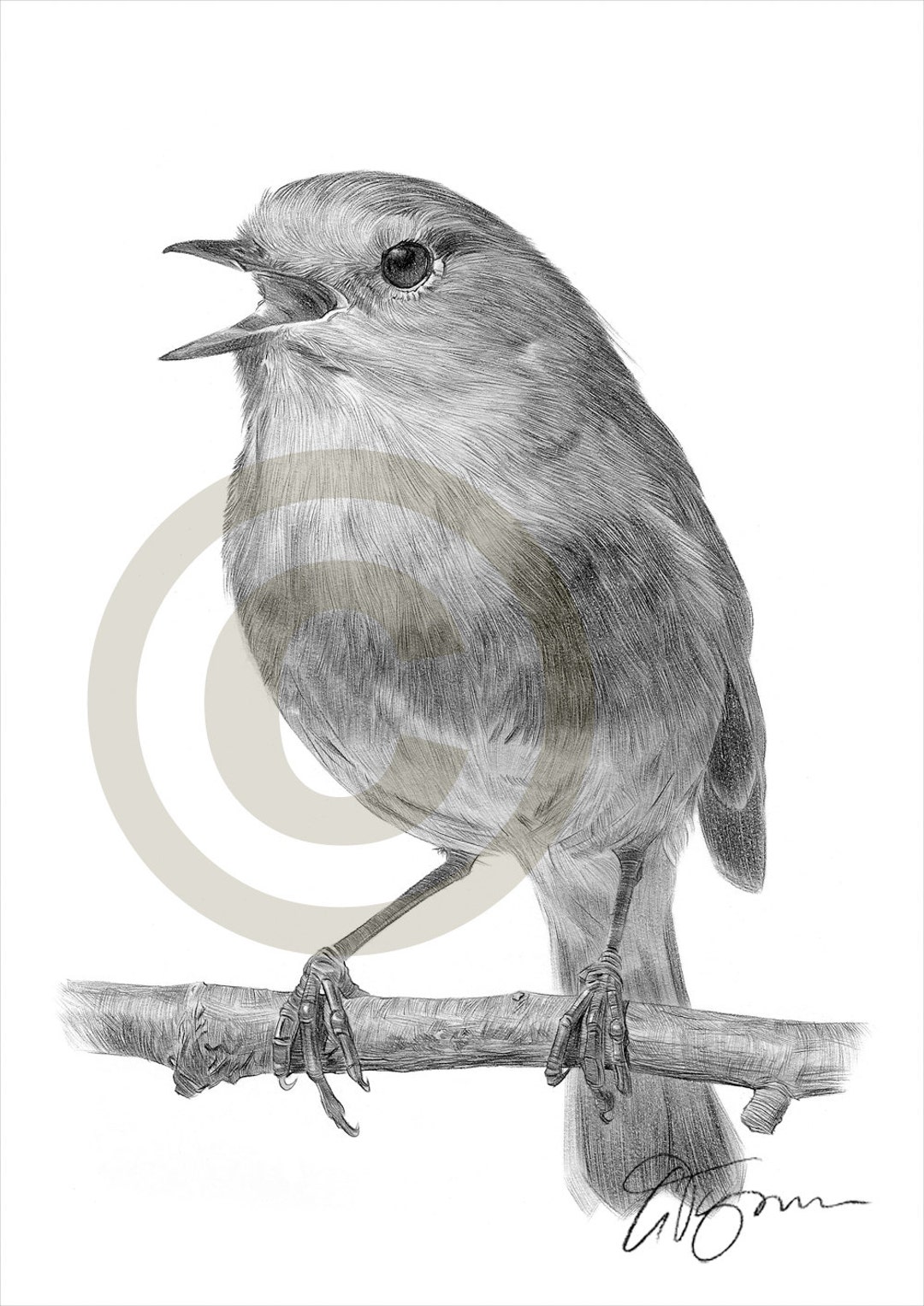 Sciarpa Stampa Robin Bird - Collezione Natalizia, Leggera E Avvolgente In O 738812