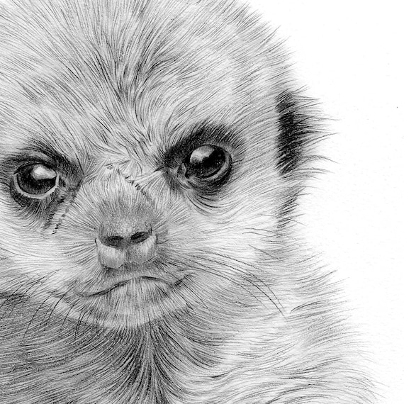 Handmade Crochet: Tymon the Meerkat Handmade Crochet: Tymon the Meerkat