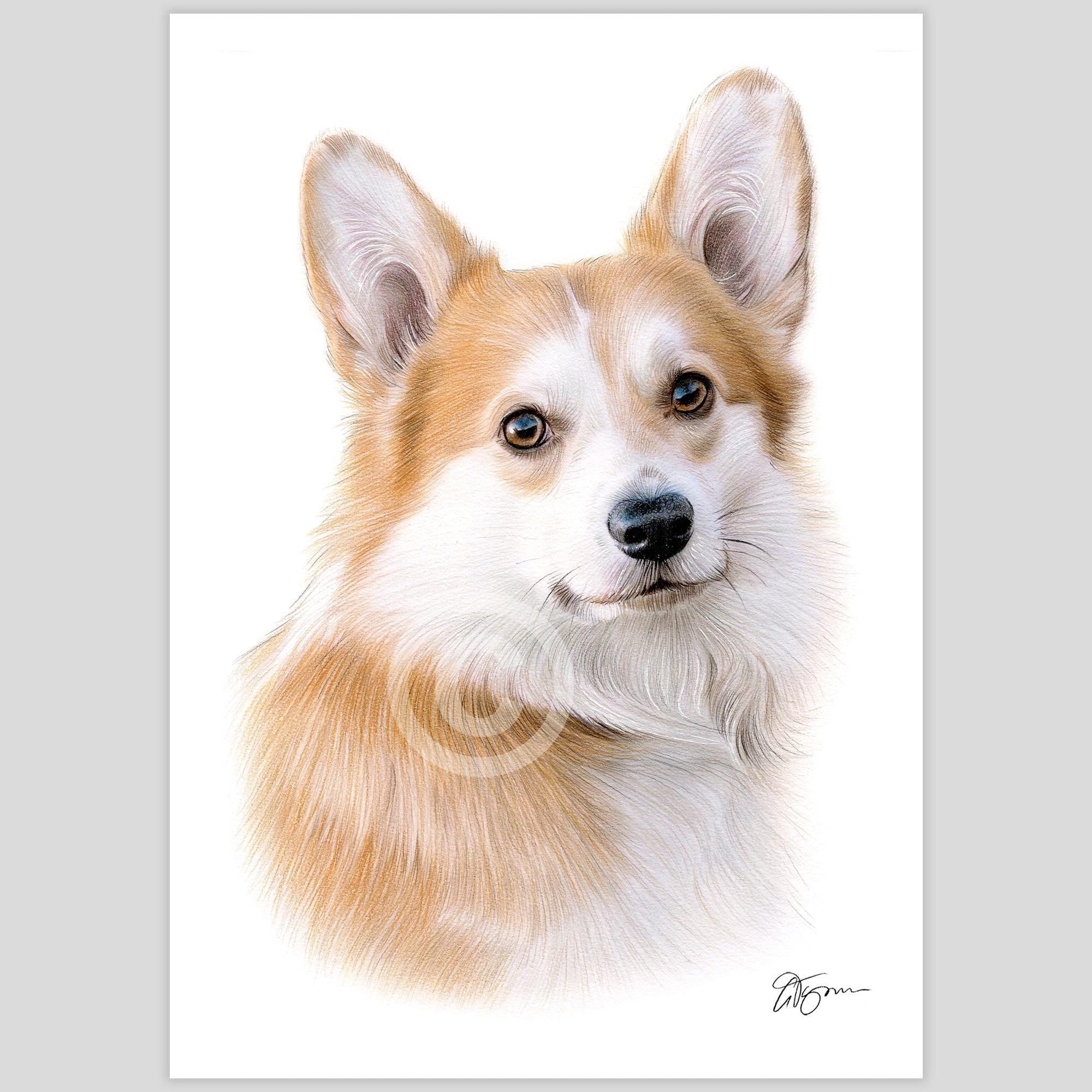 ウェルシュ・コーギー犬の色鉛筆画プリント：2サイズ