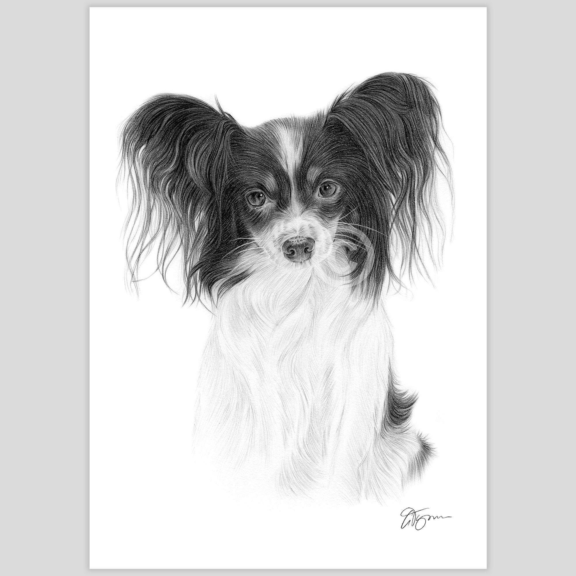 パピヨン　アート・グラフィック il_fullxfull.7096898096_hsdb.jpg