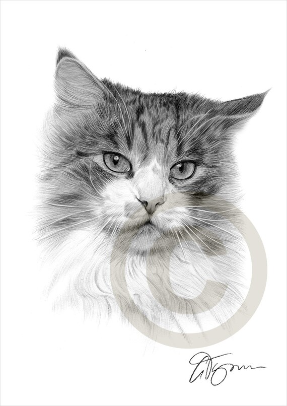 Tabby Creation De Chat Imprimer Dessin Crayon Signee Par Etsy Tabby Creation De Chat Imprimer Dessin Crayon Signee Par Etsy