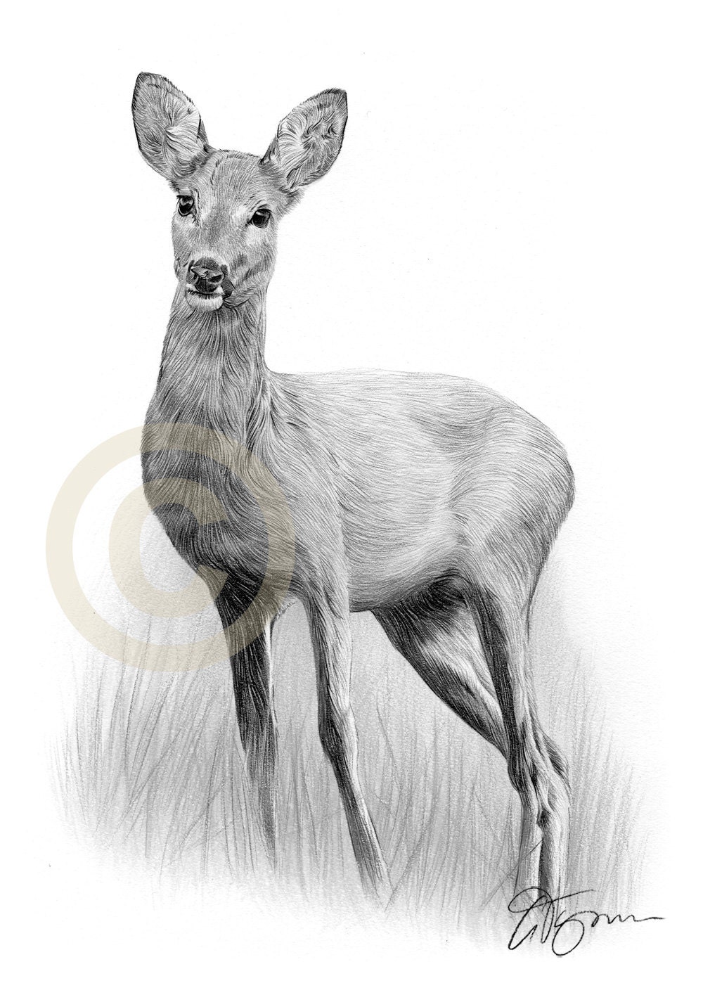 Deer Pencil | centenariocat.upeu.edu.pe