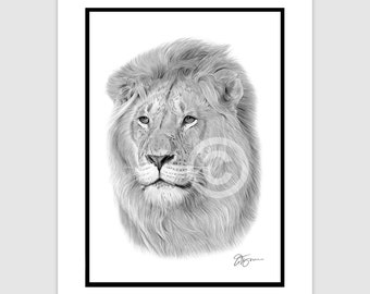 ライオンのオリジナル鉛筆画 – 野生動物の肖像画（額装済み、14×11