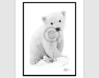 POLAR BEAR CUB - Original B&W Pencil Drawing - Portrait size 11.75" x 8.25" - Mount (matte) size 14" x 11" - Signed - animal wildlife art