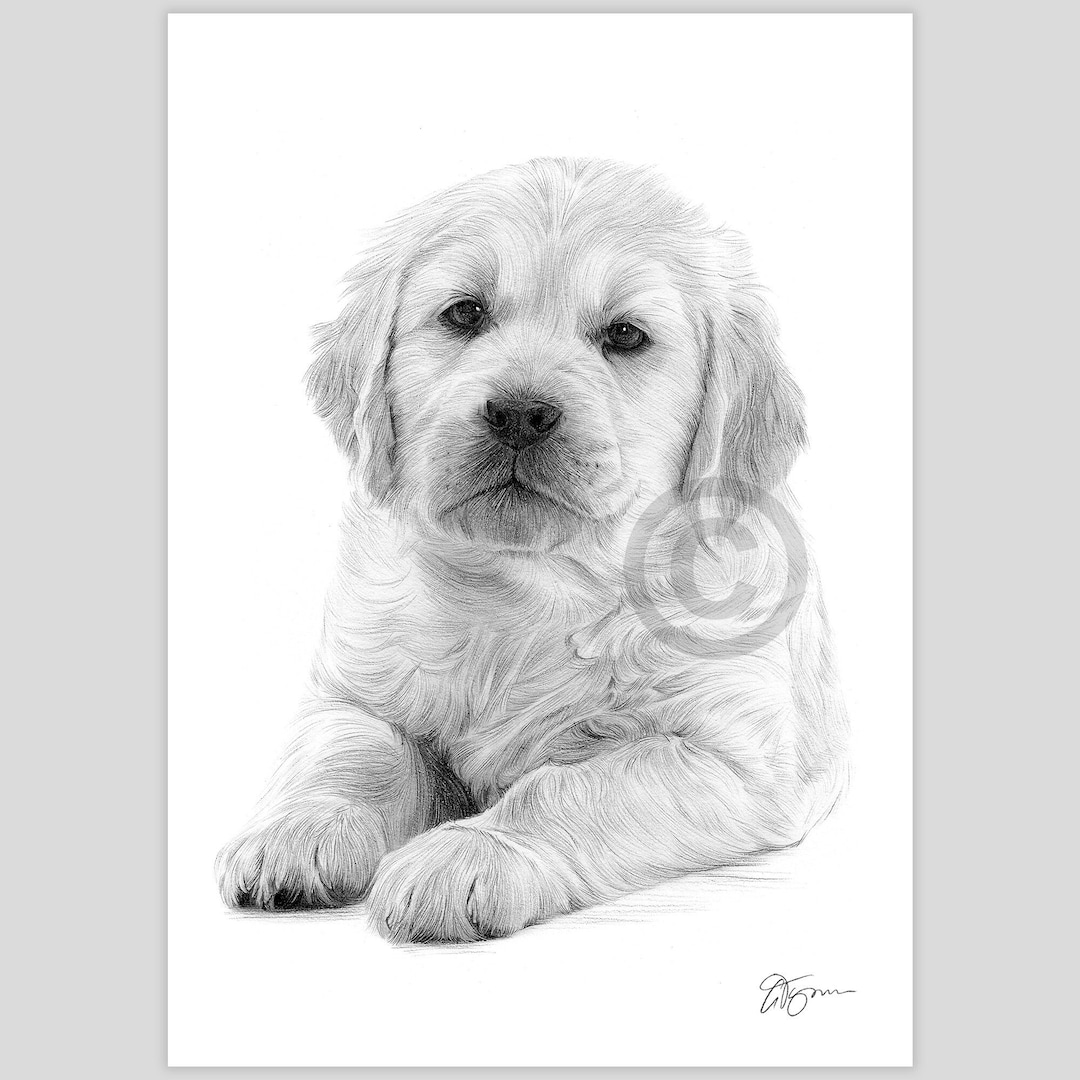 アーティストGary Tymonによるサイン入りゴールデンレトリバーの子犬の