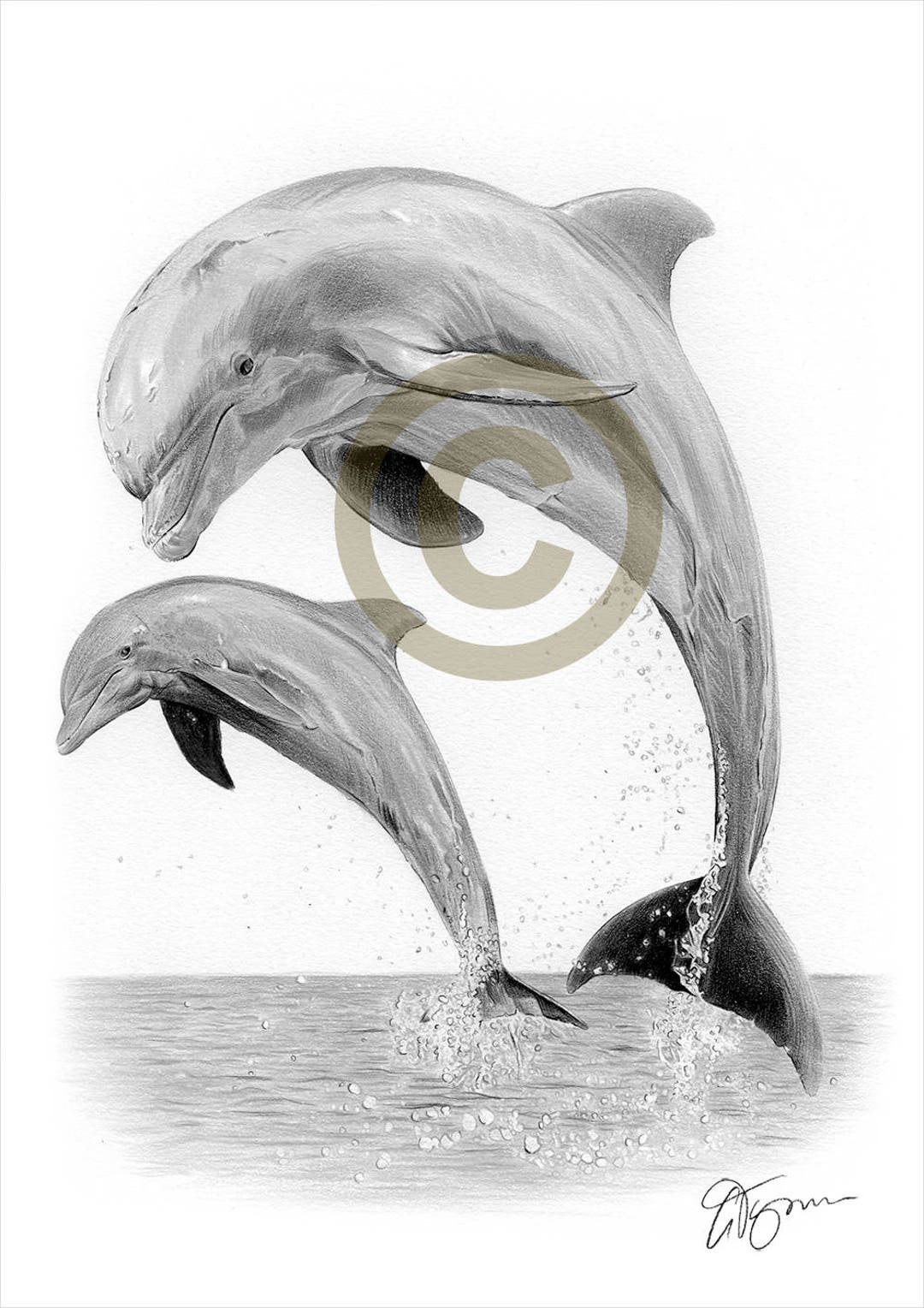 Easy dolphin pencil drawing  YouTube