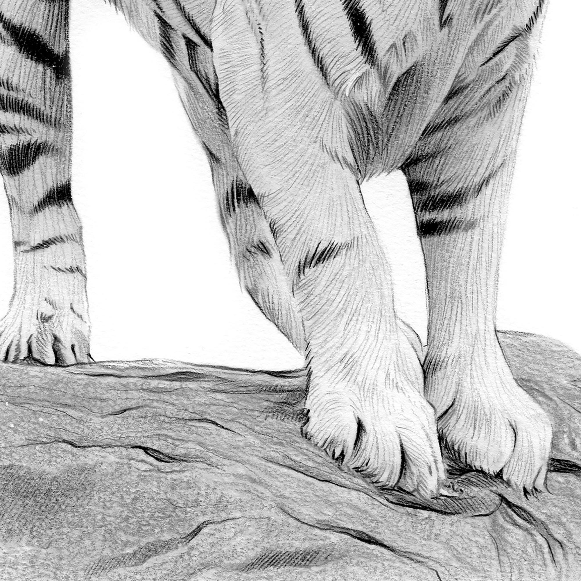 Monamo Free Automated Malware Analysis Service - powered by Falcon