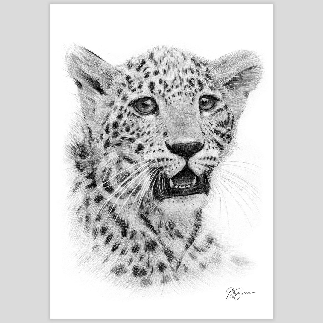 チーター　額付　猫　原画 猫の絵 334 水彩画 原画 B5サイズ｜Yahoo!フリマ（旧PayPayフリマ）