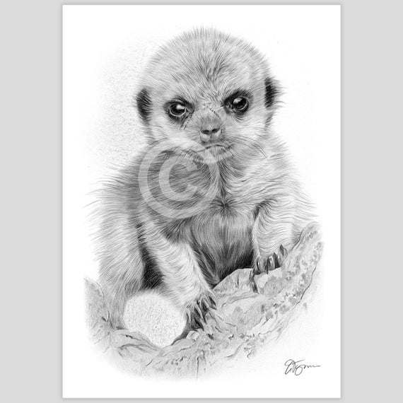 Handmade Crochet: Tymon the Meerkat Handmade Crochet: Tymon the Meerkat
