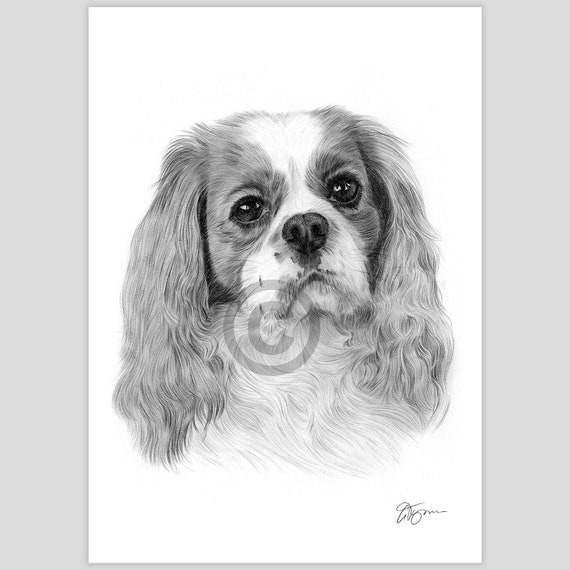 Tibetan Spaniel Umbrella 2 Tibetan Spaniel Umbrella 2