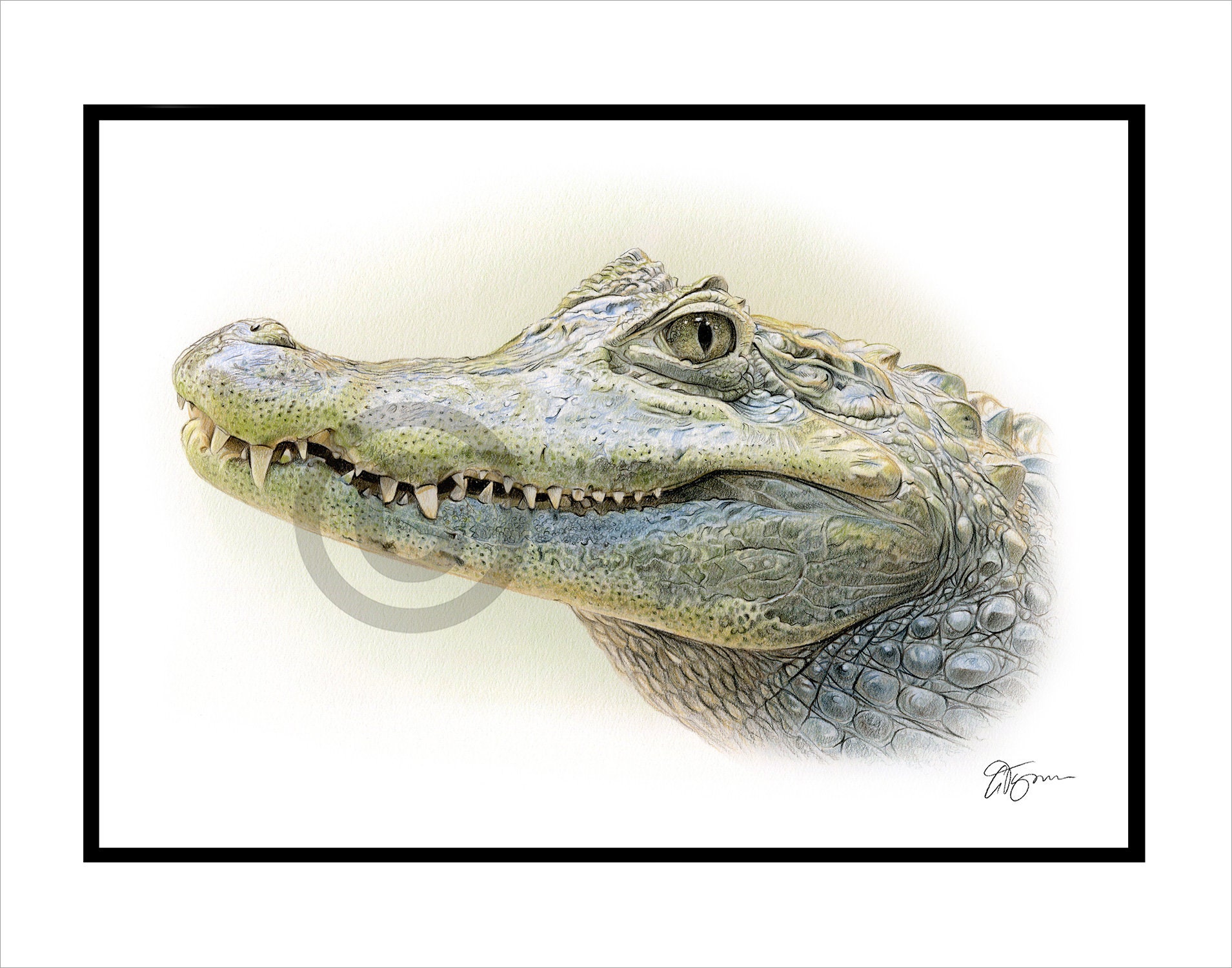 風景画のワニ - オリジナル色鉛筆画 - 肖像画サイズ 11.75