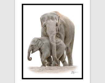 Asian Elephant and Baby Original Colour Pencil Drawing - Portrait size 10" x 8" - Mount (matte) size 12" x 10" - Signed wildlife art gift