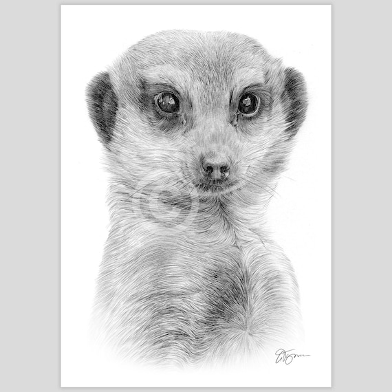 Handmade Crochet: Tymon the Meerkat Handmade Crochet: Tymon the Meerkat