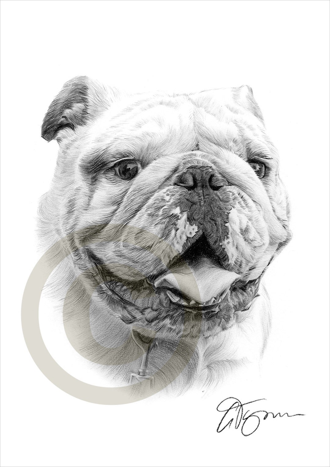 Dog English Bulldog Pencil Drawing Print Artwork Signed by Artist Gary