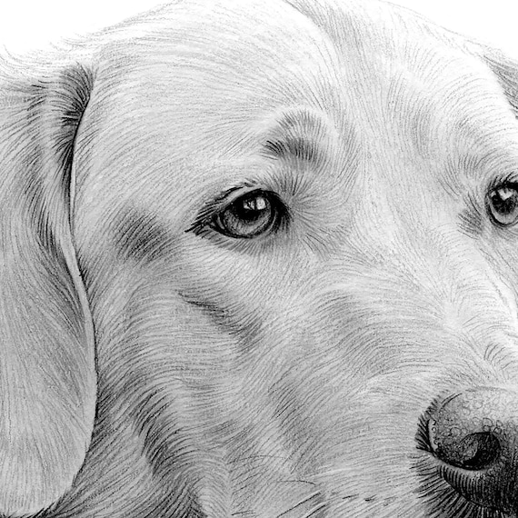 なり namco限定 ゲゲゲの謎 ぷちマスコット 水木 目玉親父(ゲゲ郎