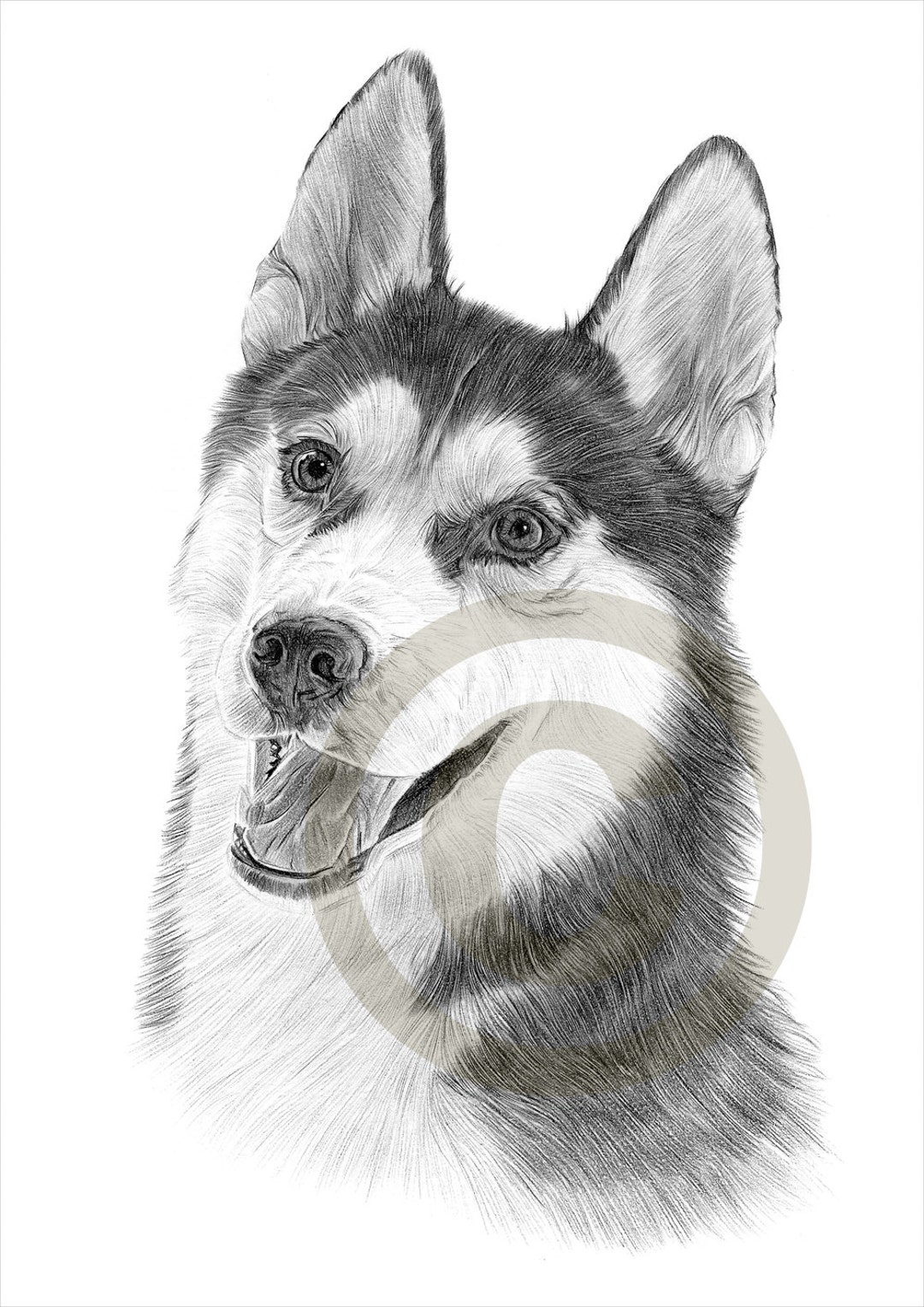 Husky arte del perro impresión de dibujo a lápiz obra de - Etsy España