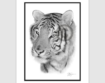 ホワイト タイガーの絵 | 色鉛筆で描いたタイガーのアートワーク