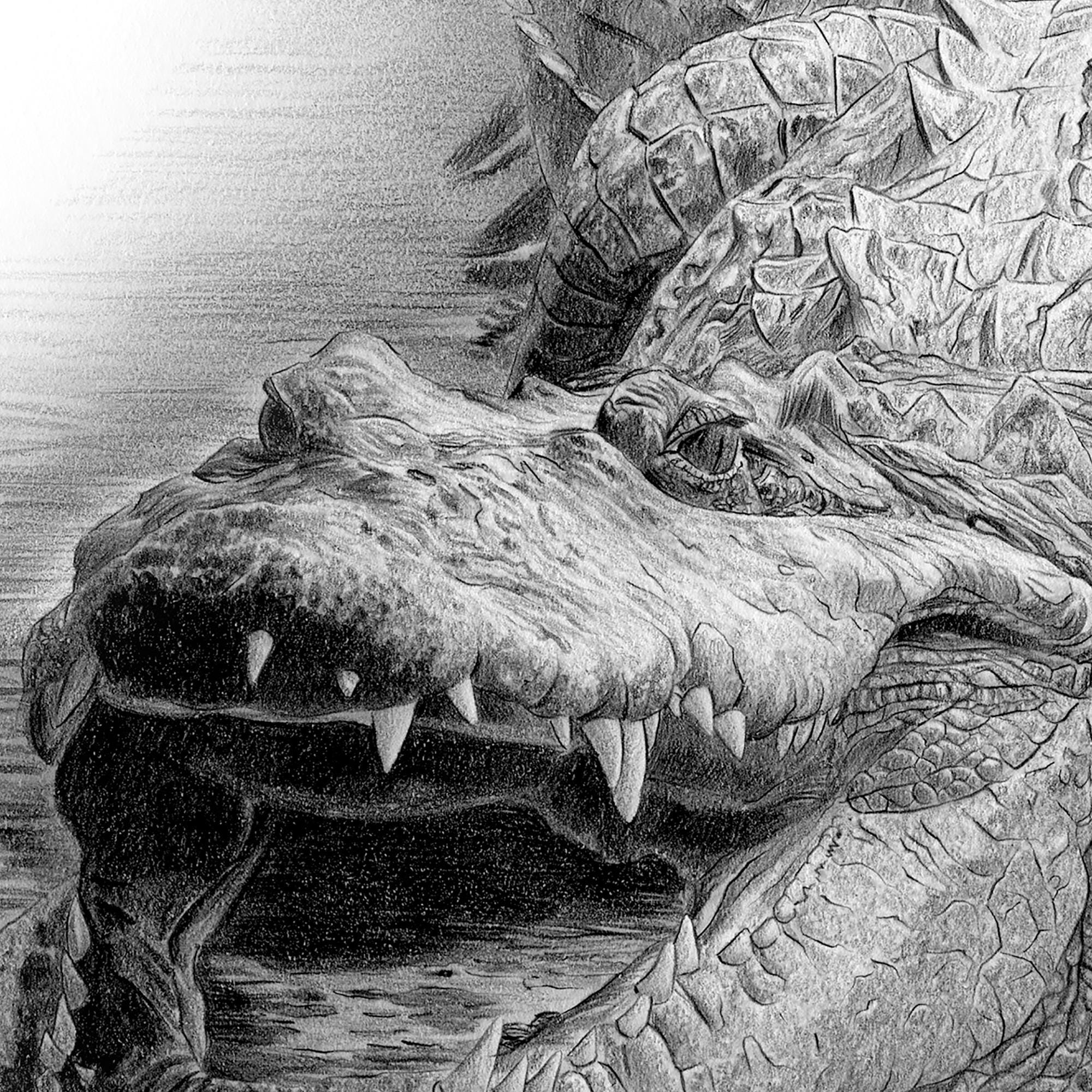 Pencil Drawing Real Crocodile Drawing Crocodile Pencil Drawing