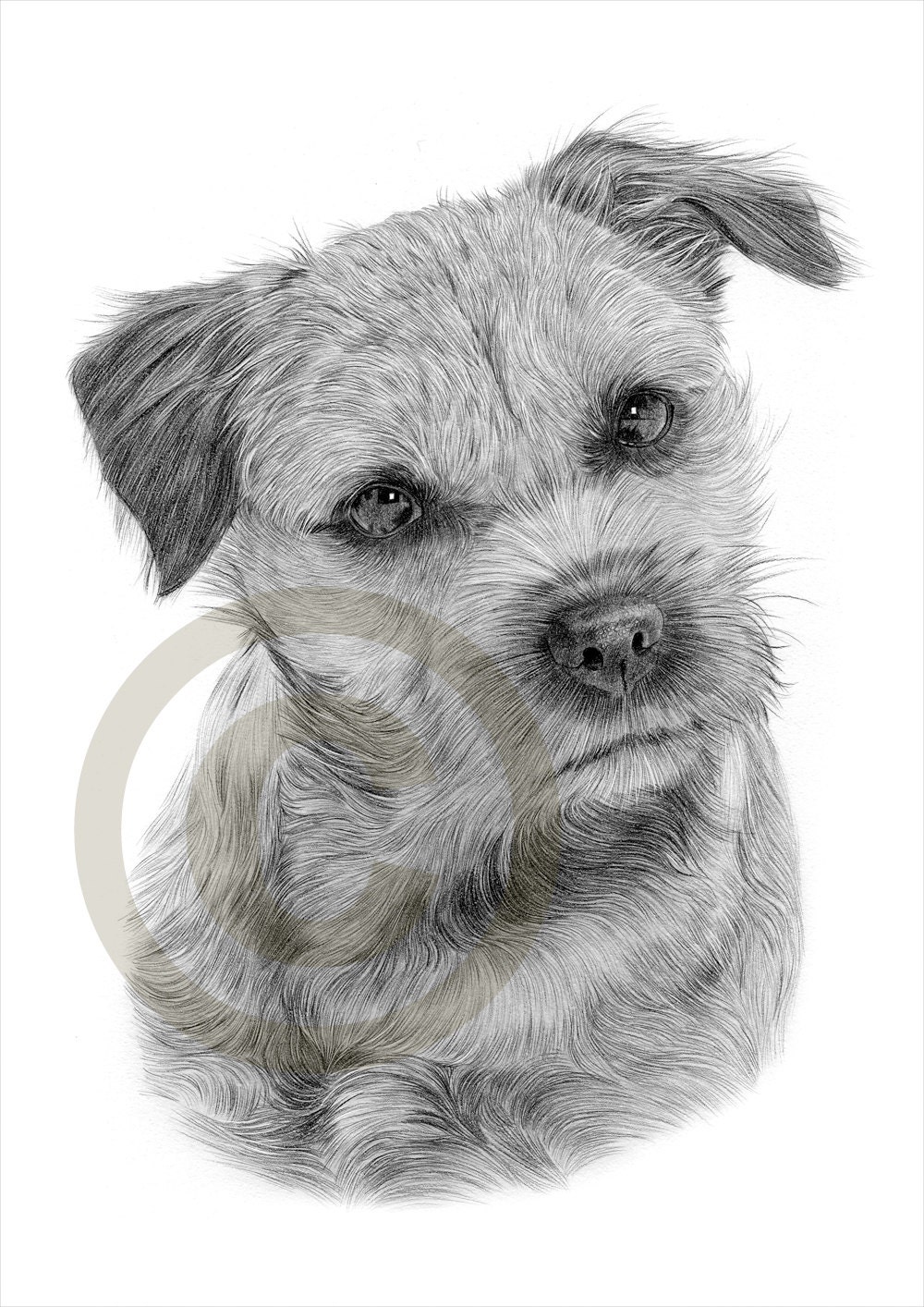 Dog Border Terrier Pencil Drawing Print A4 Size Artwork - Etsy UK