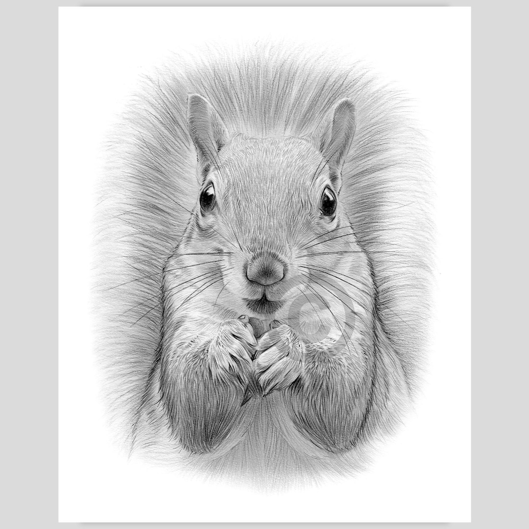 book il_1080xN.6323624074_nis3.jpg