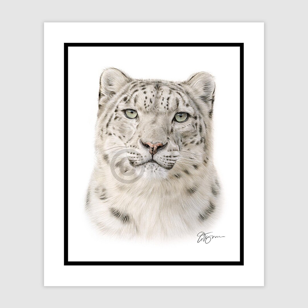 ユキヒョウの肖像画｜オリジナル色鉛筆画、野生動物アート - Etsy 日本