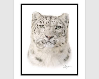 雪豹 ユキヒョウ 原画 額装済 ユキヒョウの肖像画｜オリジナル色鉛筆画、野生動物アート - Etsy 日本