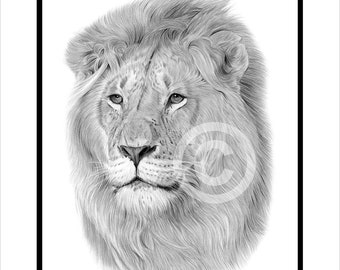ライオンのオリジナル鉛筆画 – 野生動物の肖像画（額装済み、14×11