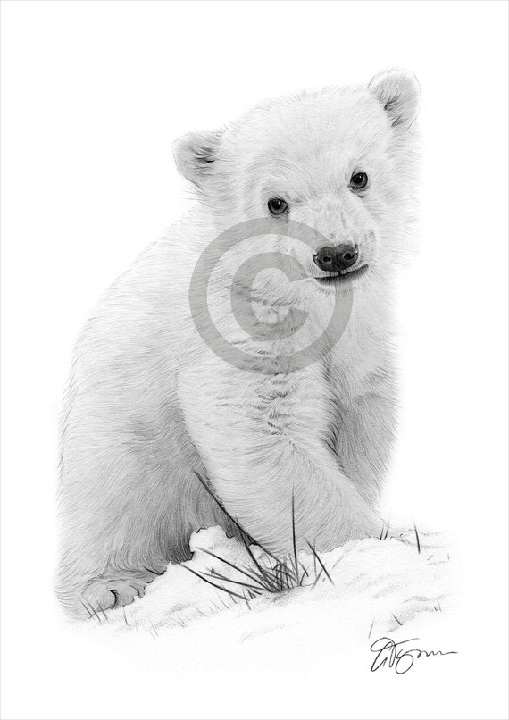 106,600+ Zoo Animals Drawing Stock Photos, Pictures & Royalty-Free Images -  iStock