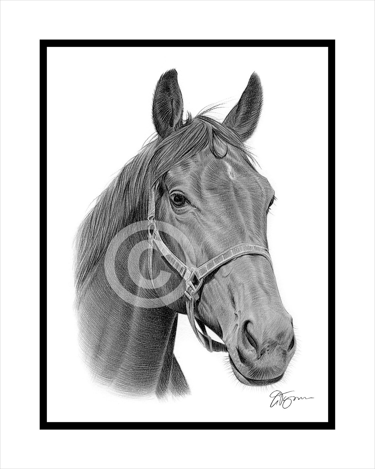 Regalo Original Caballo Bolígrafo Regalo Equitación - Tema Caballo