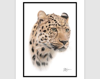 Portrait d'un léopard dessin original au crayon de couleur - oeuvre d'art taille 25,4 x 20,8 cm - taille de monture (mate) 12 x 10 po. - cadeau d'art animalier signé