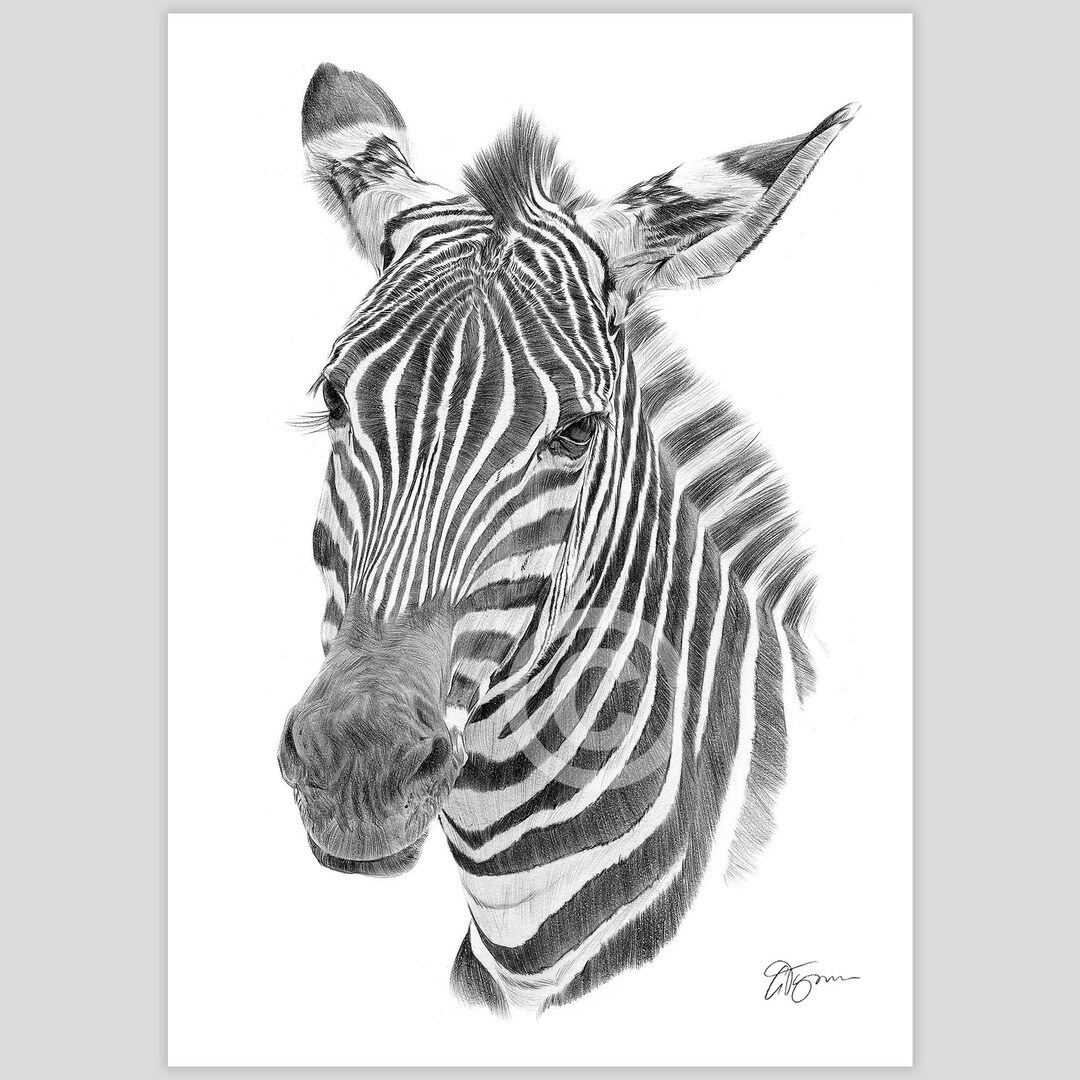 シマウマ　スケッチ絵画 il_1080xN.6256176398_2q1r.jpg