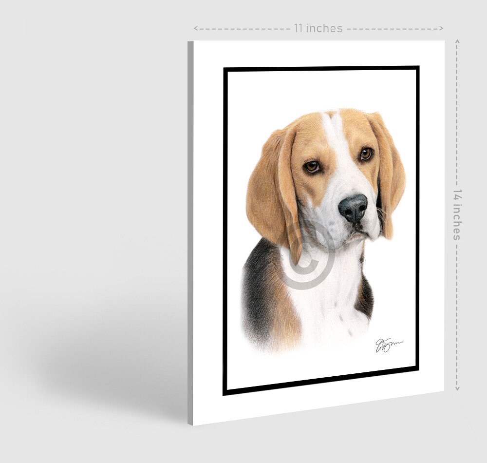 ビーグル オリジナル色鉛筆画 - 犬のアート - ポートレートサイズ