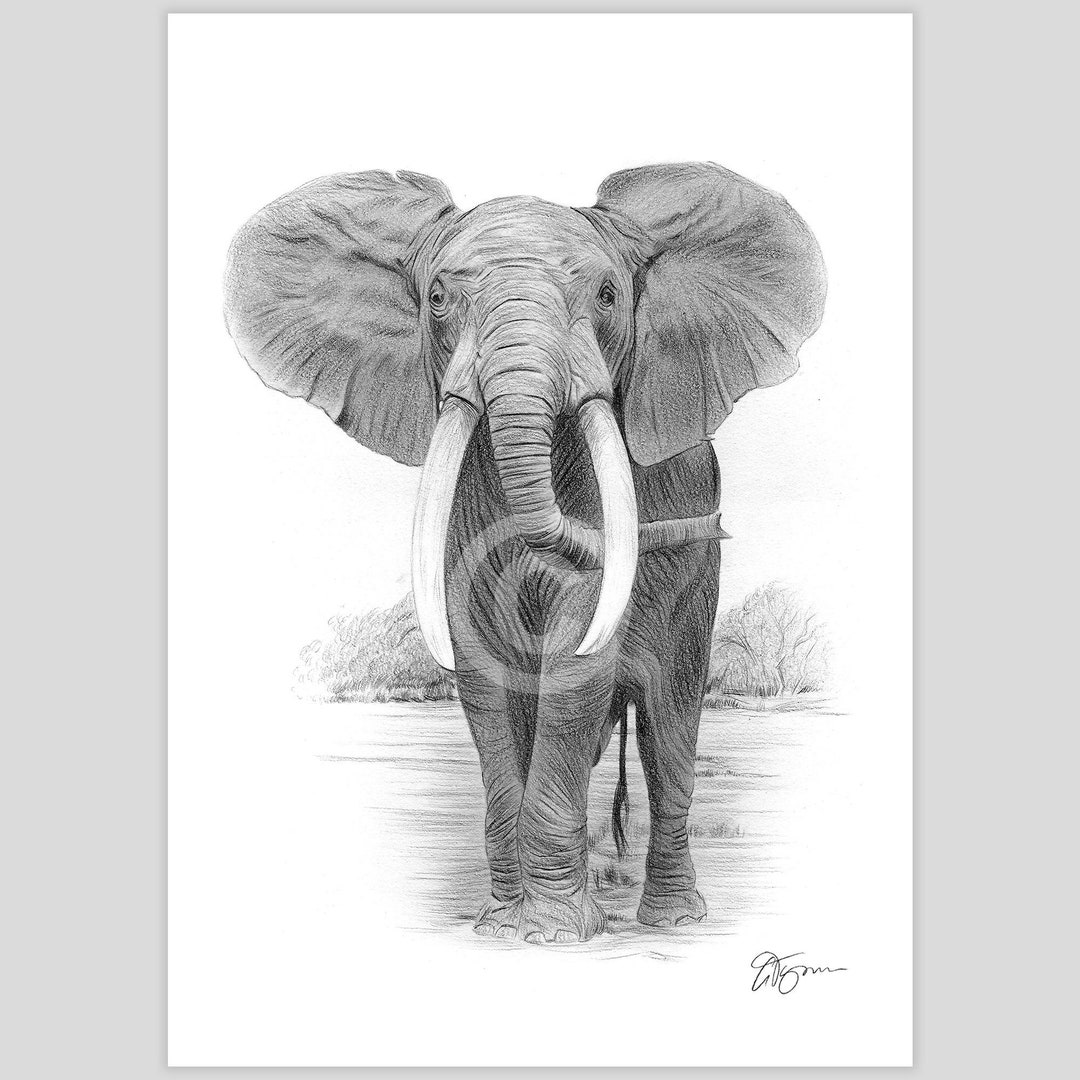 アフリカアート　ゾウ【画家 サイン入り】 アフリカアート ゾウ【画家 サイン入り】 アフリカアート ゾウ