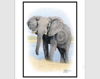 AFRICAN ELEPHANT Original Color Pencil Drawing - Portrait size 11.75" x 8.25" - Mount (matte) size 14" x 11" - Signed by artist Gary Tymon