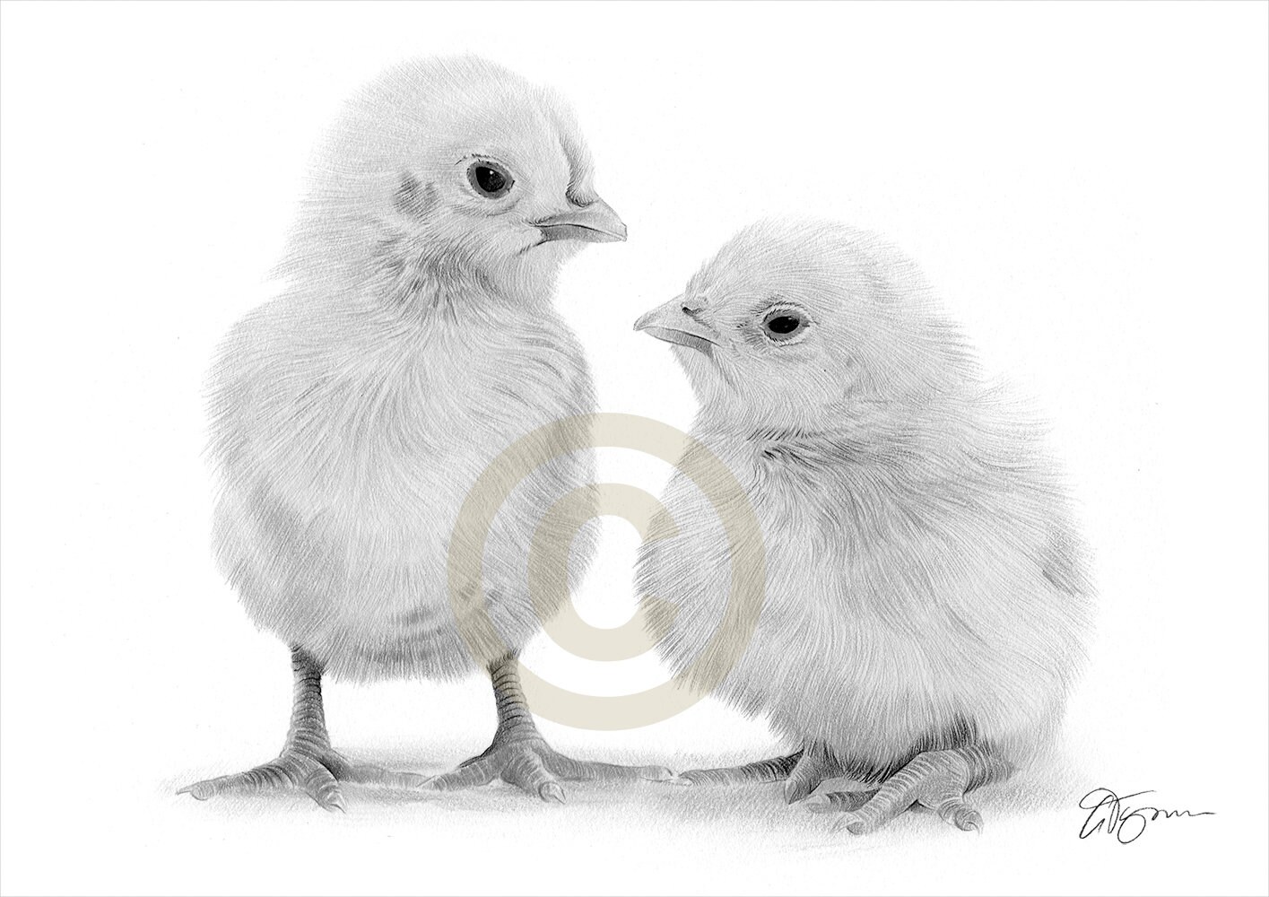 How to Draw a Baby Chick – Step by Step Drawing Guide - Easy Peasy and Fun