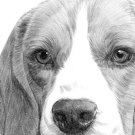 アーティスト、ゲイリー・タイモンのサイン入りビーグル犬のアート