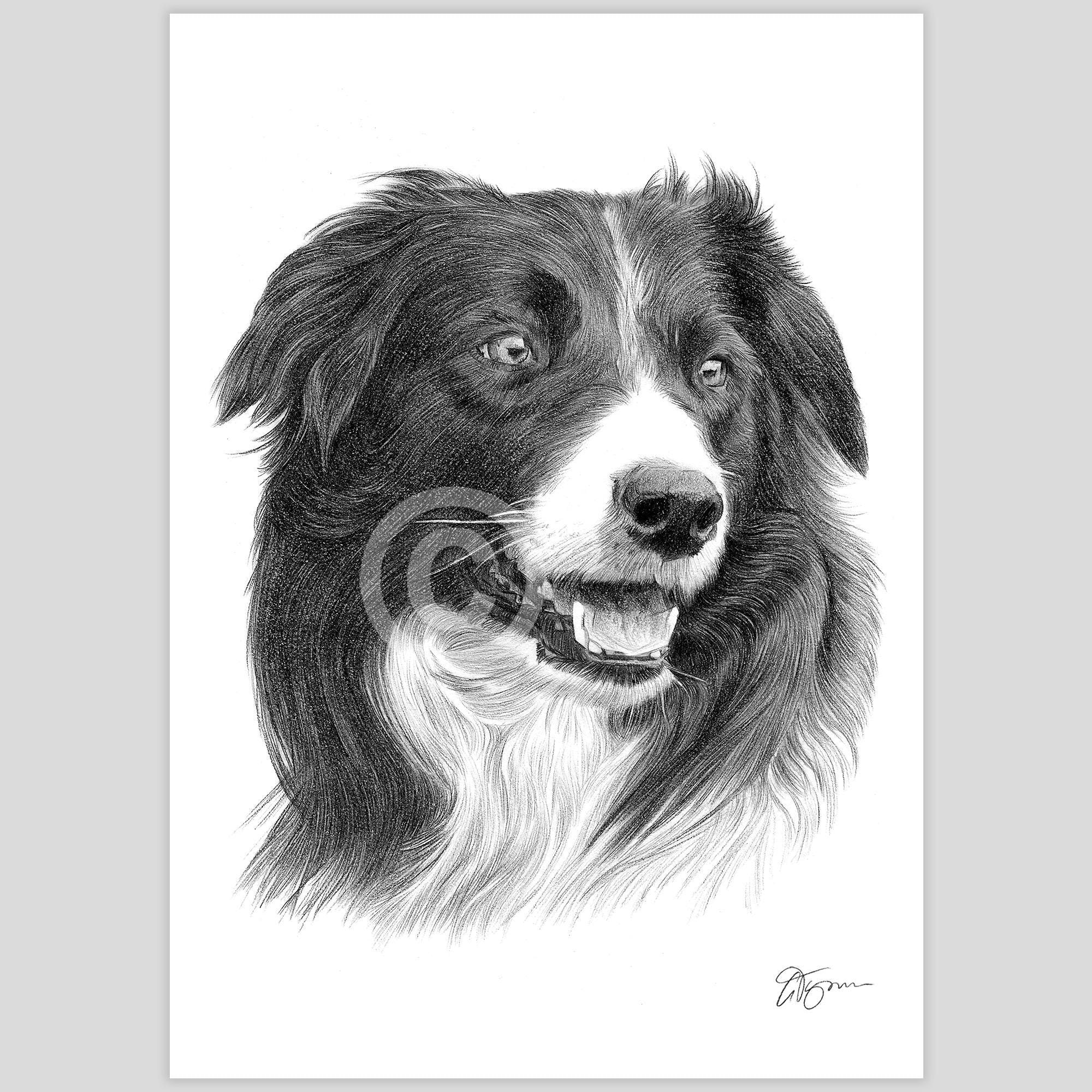 薔薇と子犬　水彩画　ボーダーコリー 夢心地 - ボーダーコリー犬の子犬 No.3】風水画 開運 アート