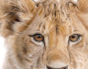 il_340x270.6844652901_oeed.jpg