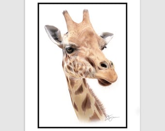 GIRAFFE Original Color Pencil Drawing - Portrait size 11.75" x 8.25" - Mount (matte) size 14" x 11" - Signed by artist Gary Tymon