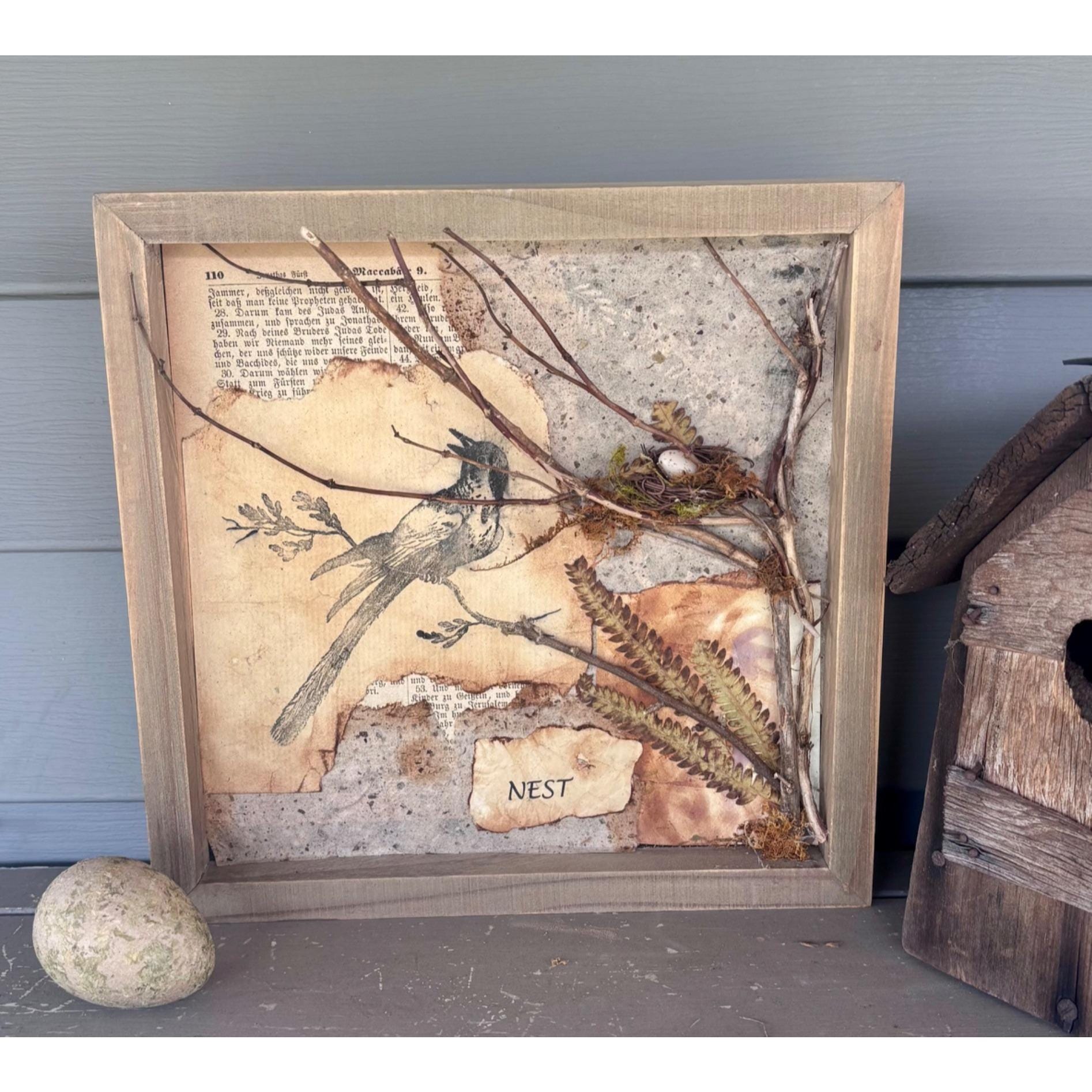 Framed 10x10 Bird Shadow Box Art – Naturalist Style Assemblage - 2 in ...