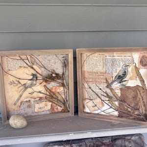 Könnte beinhalten: Zwei gerahmte Mixed-Media-Kunstwerke mit Vogelillustrationen, getrocknetem Laub und Vintage-Papierhintergründen. Ein Stück enthält ein kleines Nest und das Wort "NEST". Die Rahmen sind hellbraun.