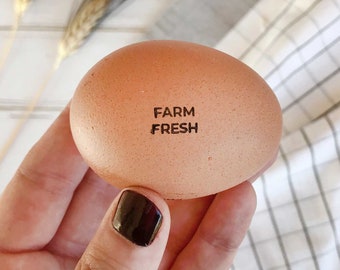 Farm fresh rubber egg stamp, homestead egg stamps with phrases, mini egg stamps for egg coop, fresh egg carton stamp